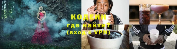 стаф Козловка