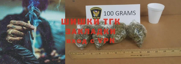 стаф Козловка
