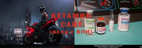 стаф Козловка
