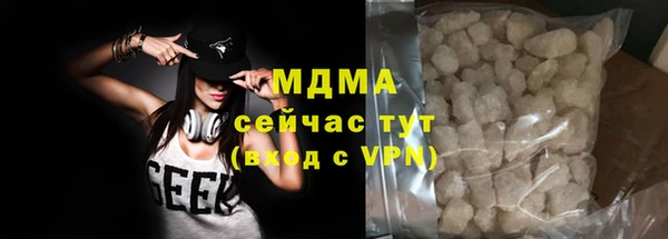 стаф Козловка
