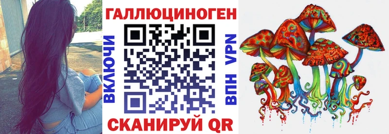 МЕГА онион  Медвежьегорск  Галлюциногенные грибы Psilocybe  наркота 